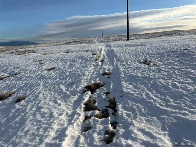 Tract 1 BOWLING/COBB DIVISION OF LAND Saguache, CO 81143