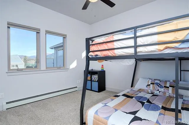 307 Chestnut Street Buena Vista, CO 81211