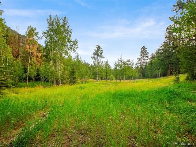 00 S Le Masters Drive Evergreen, CO 80439