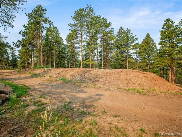 00 S Le Masters Drive Evergreen, CO 80439