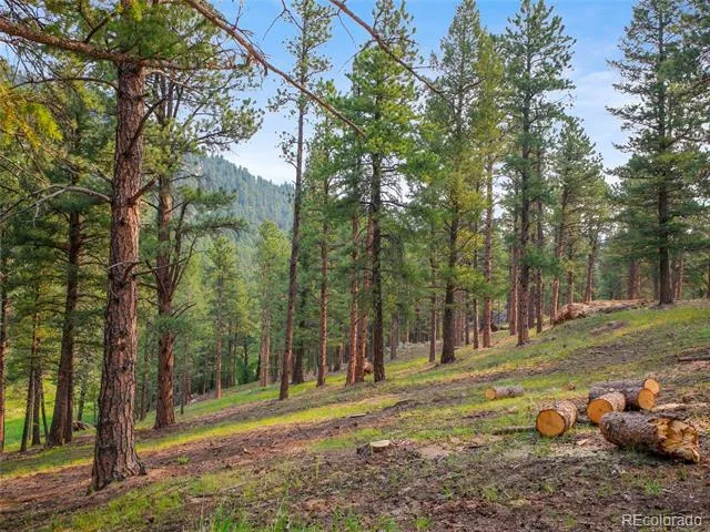 00 S Le Masters Drive Evergreen, CO 80439