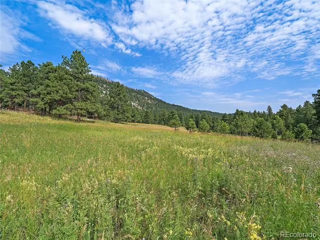 00 S Le Masters Drive Evergreen, CO 80439