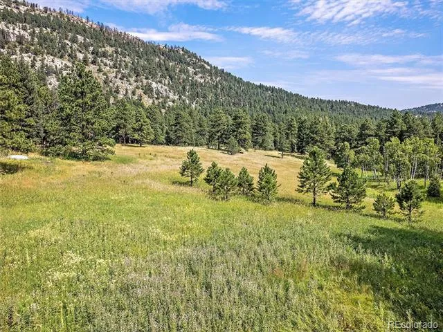 00 S Le Masters Drive Evergreen, CO 80439