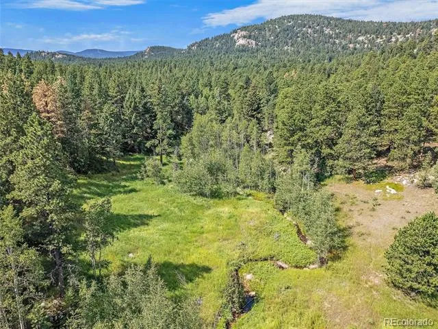 00 S Le Masters Drive Evergreen, CO 80439