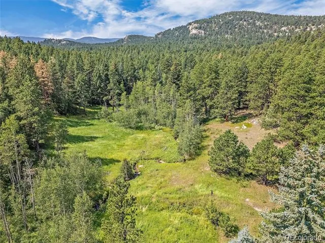 00 S Le Masters Drive Evergreen, CO 80439