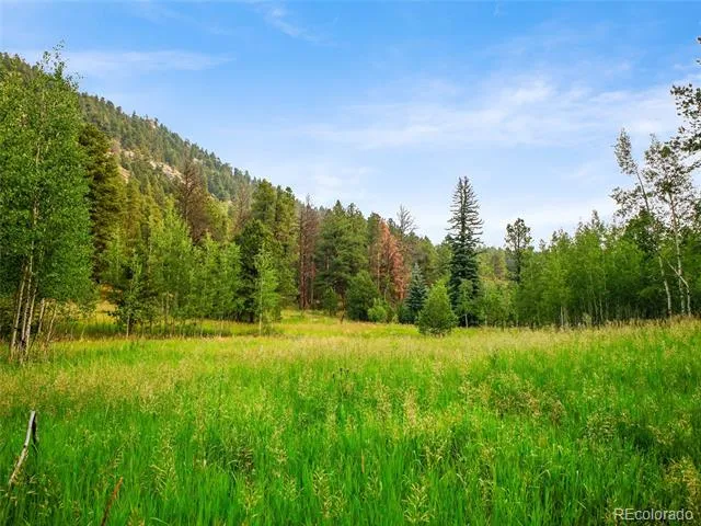 00 S Le Masters Drive Evergreen, CO 80439