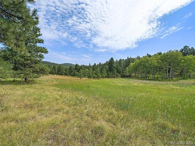 00 S Le Masters Drive Evergreen, CO 80439