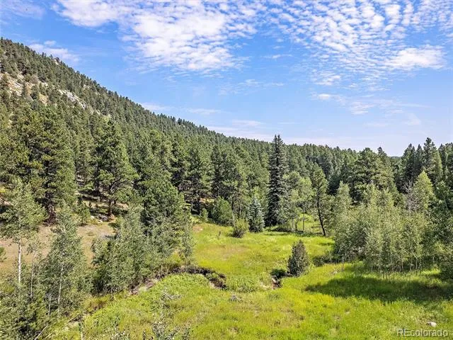 00 S Le Masters Drive Evergreen, CO 80439