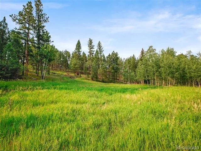 00 S Le Masters Drive Evergreen, CO 80439