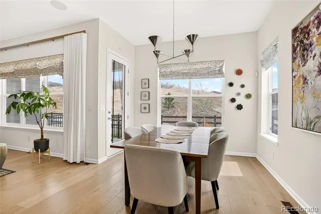 4 Leafy Aster Lane Castle Rock, CO 80104