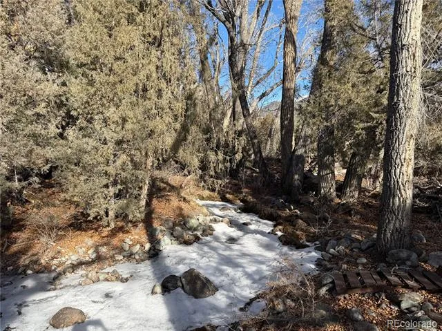 3899 Rarity Way Crestone, CO 81131