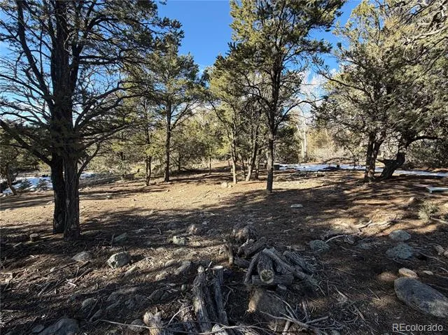 3899 Rarity Way Crestone, CO 81131
