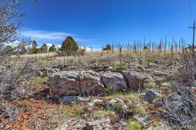1234 Scenic Avenue Pagosa Springs, CO 81147