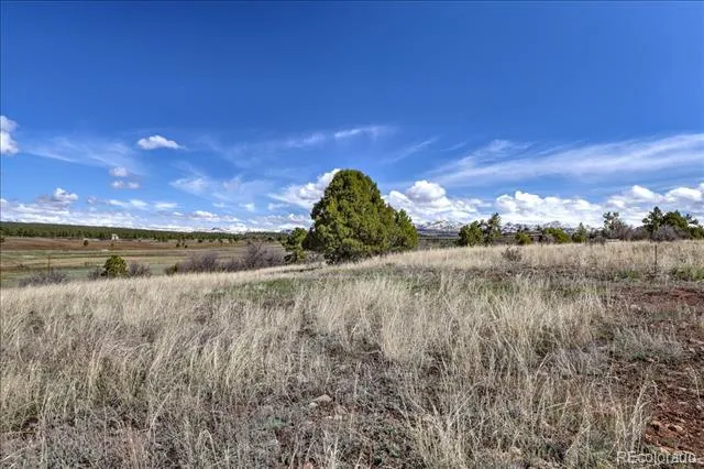 1234 Scenic Avenue Pagosa Springs, CO 81147