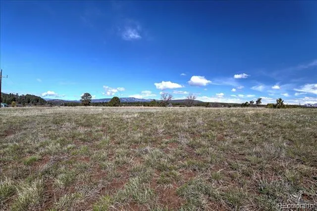 1234 Scenic Avenue Pagosa Springs, CO 81147