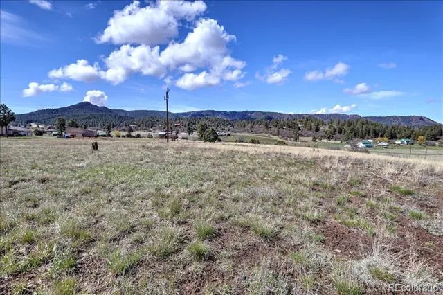1234 Scenic Avenue Pagosa Springs, CO 81147