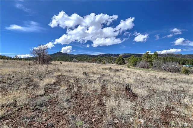 1234 Scenic Avenue Pagosa Springs, CO 81147