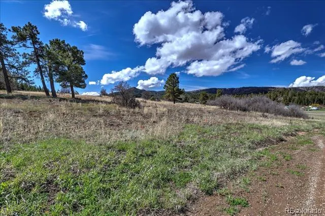 1234 Scenic Avenue Pagosa Springs, CO 81147