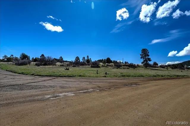 1234 Scenic Avenue Pagosa Springs, CO 81147