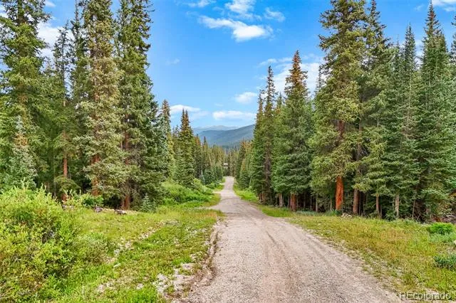 0057 County Road 675 Breckenridge, CO 80424