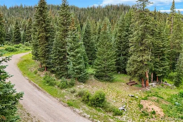 0057 County Road 675 Breckenridge, CO 80424