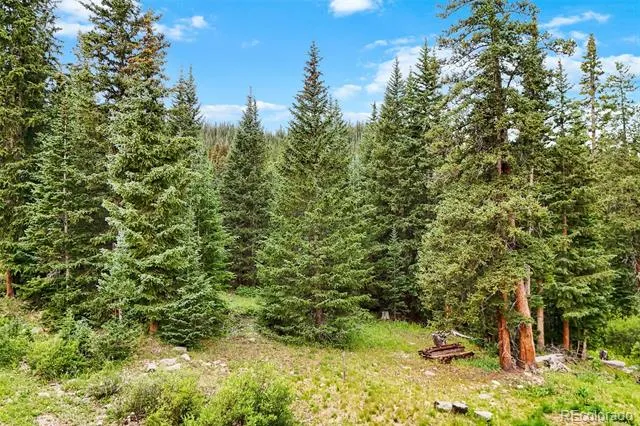 0057 County Road 675 Breckenridge, CO 80424
