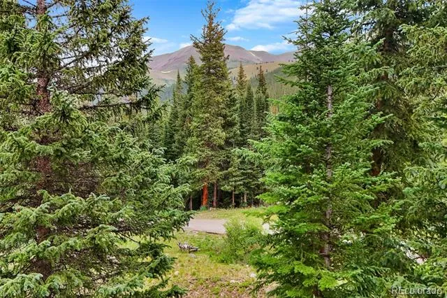 0057 County Road 675 Breckenridge, CO 80424