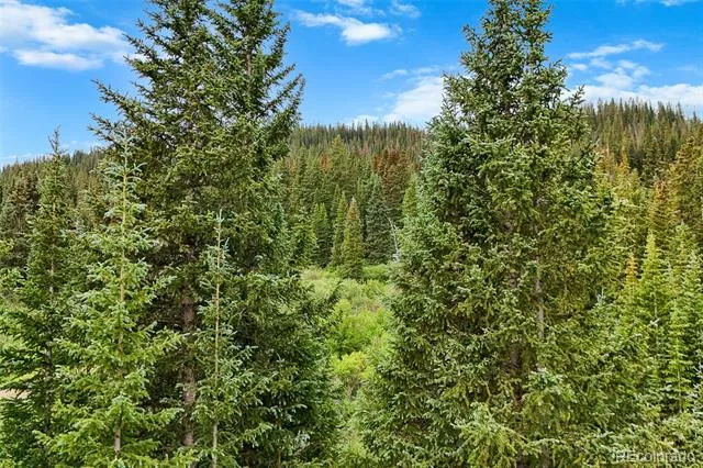 0057 County Road 675 Breckenridge, CO 80424