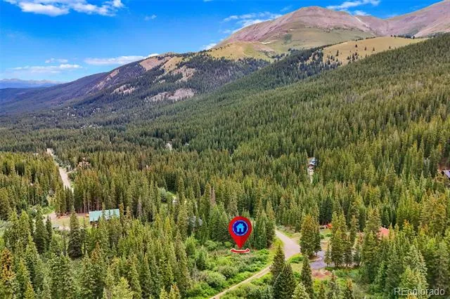 0057 County Road 675 Breckenridge, CO 80424