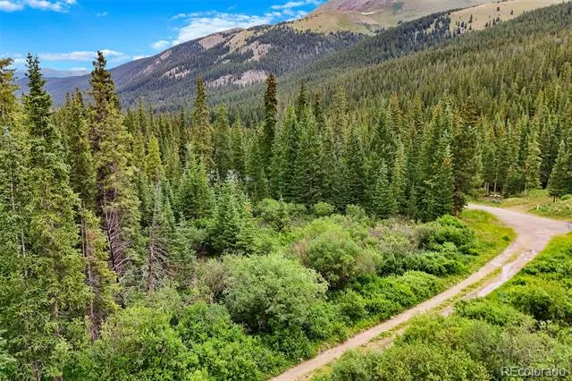 0057 County Road 675 Breckenridge, CO 80424