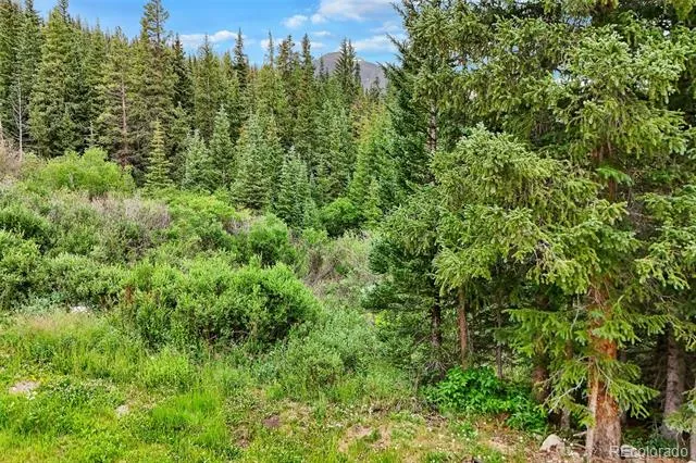 0057 County Road 675 Breckenridge, CO 80424