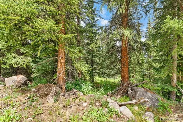 0057 County Road 675 Breckenridge, CO 80424