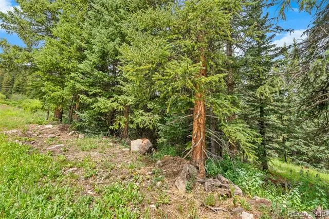 0057 County Road 675 Breckenridge, CO 80424