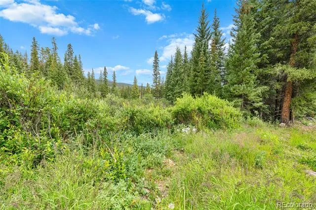 0057 County Road 675 Breckenridge, CO 80424