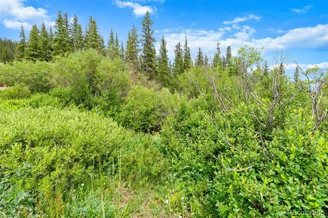 0057 County Road 675 Breckenridge, CO 80424