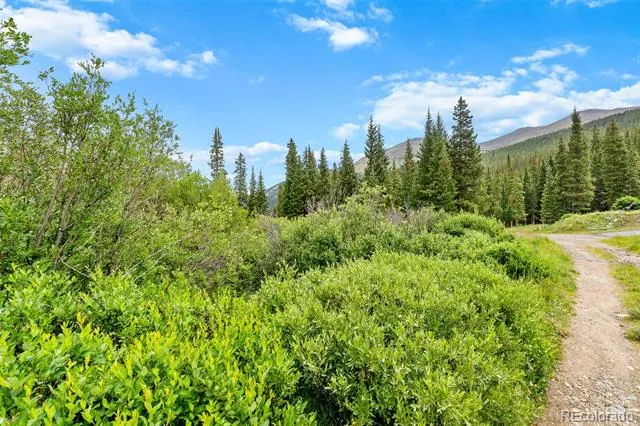 0057 County Road 675 Breckenridge, CO 80424