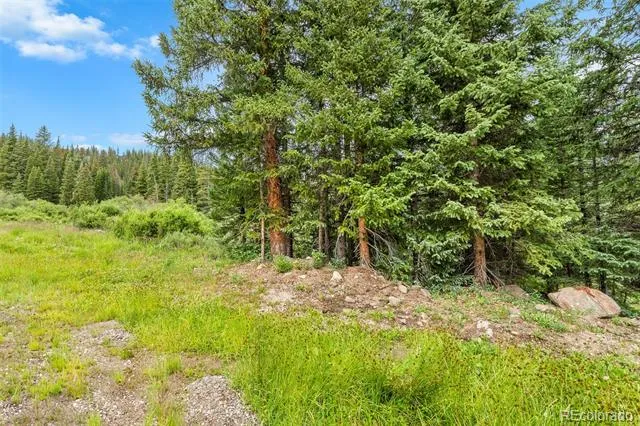 0057 County Road 675 Breckenridge, CO 80424