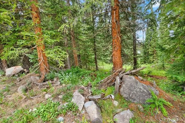 0057 County Road 675 Breckenridge, CO 80424