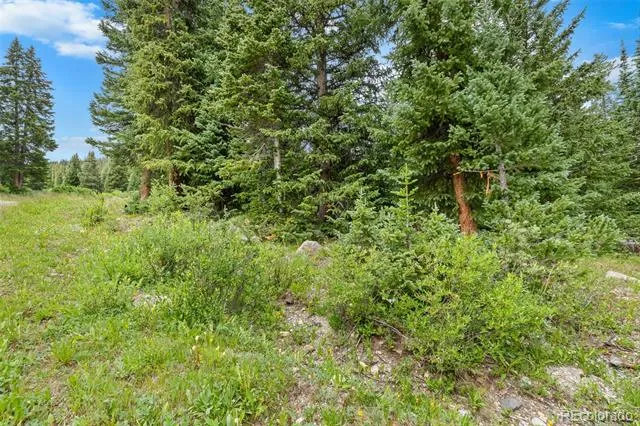 0057 County Road 675 Breckenridge, CO 80424