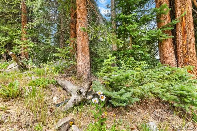 0057 County Road 675 Breckenridge, CO 80424