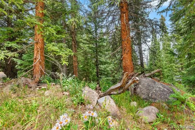 0057 County Road 675 Breckenridge, CO 80424