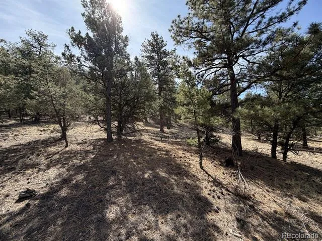 262 Harmon Drive Cotopaxi, CO 81223