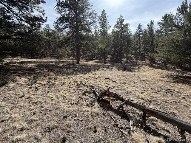 262 Harmon Drive Cotopaxi, CO 81223