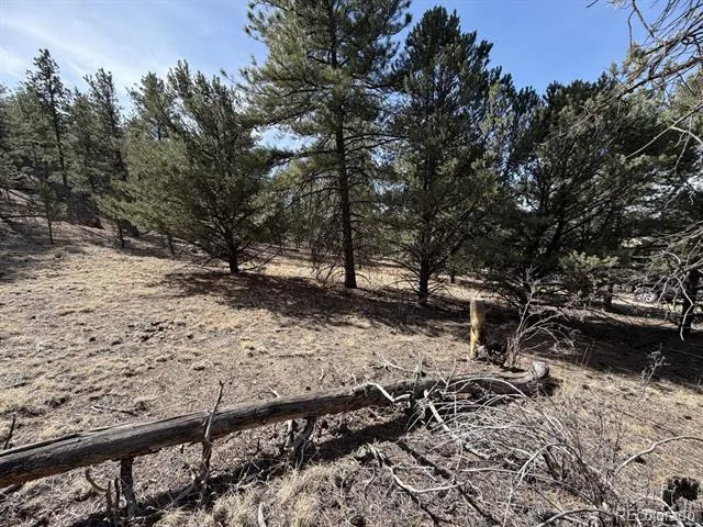 262 Harmon Drive Cotopaxi, CO 81223