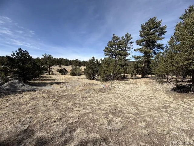 262 Harmon Drive Cotopaxi, CO 81223