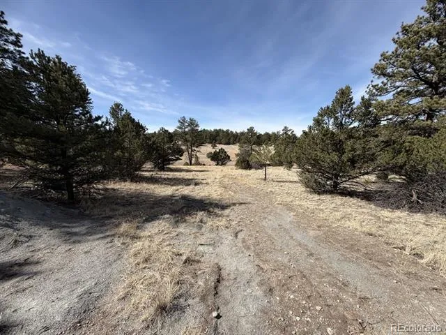 262 Harmon Drive Cotopaxi, CO 81223