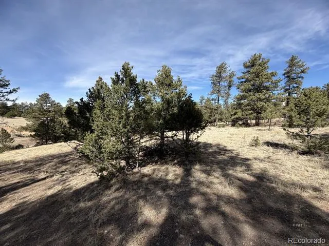 262 Harmon Drive Cotopaxi, CO 81223