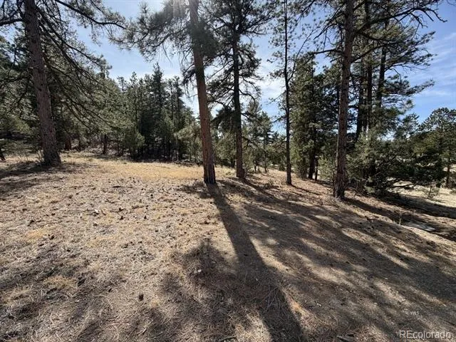 262 Harmon Drive Cotopaxi, CO 81223