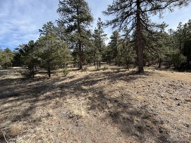 262 Harmon Drive Cotopaxi, CO 81223