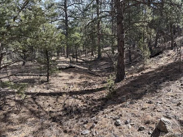 262 Harmon Drive Cotopaxi, CO 81223